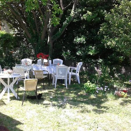 Family Apartment Garden And Sea Petrovac المظهر الخارجي الصورة