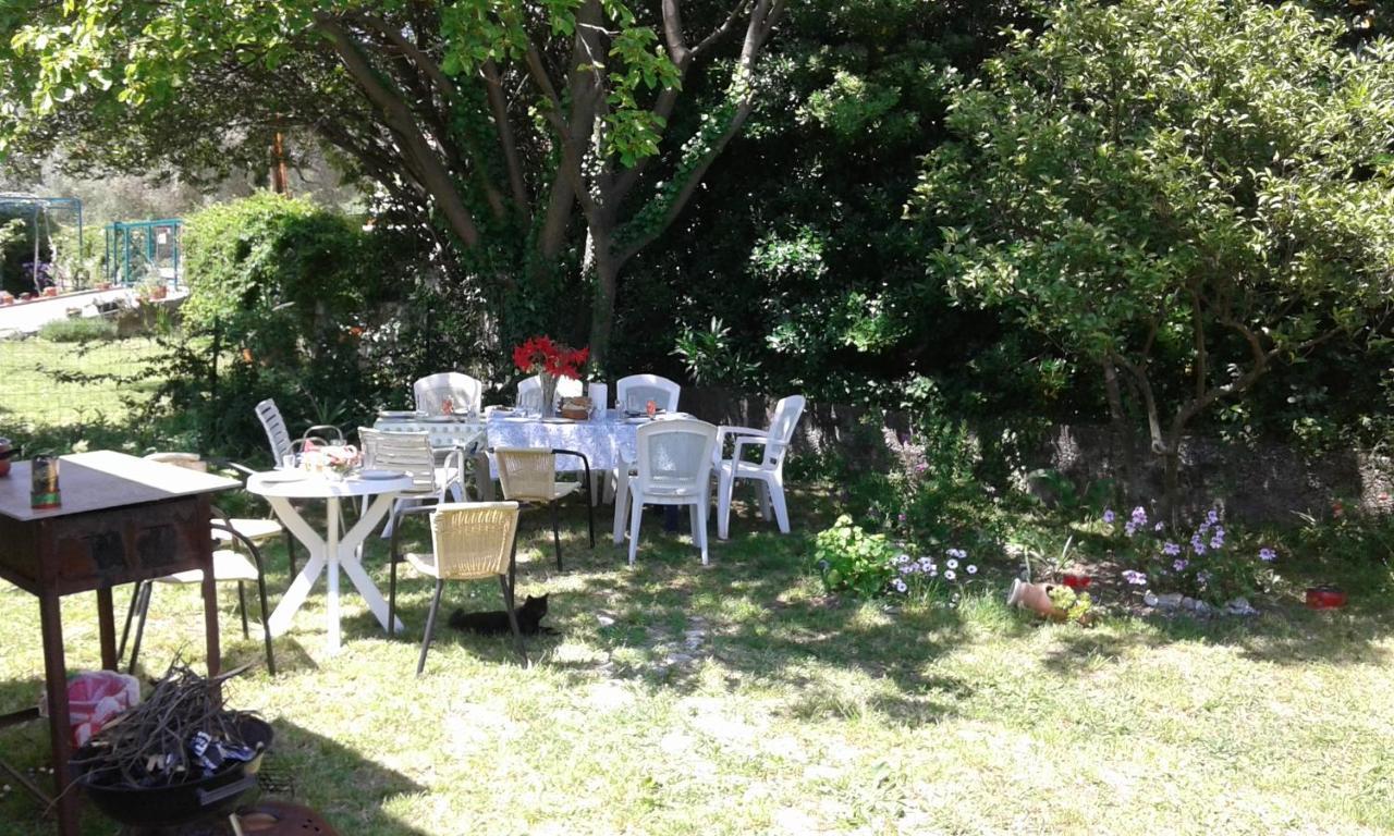 Family Apartment Garden And Sea Petrovac المظهر الخارجي الصورة